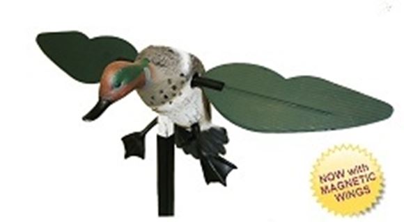 Picture of Mojo Outdoors Decoy - Mojo Teal w/Magnetic Wings