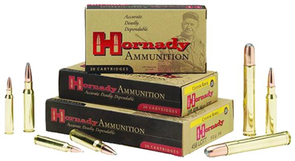 Picture of Hornady Dangerous Game Rifle Ammo - 375 H&H, 300Gr, DGX, 20rds Box