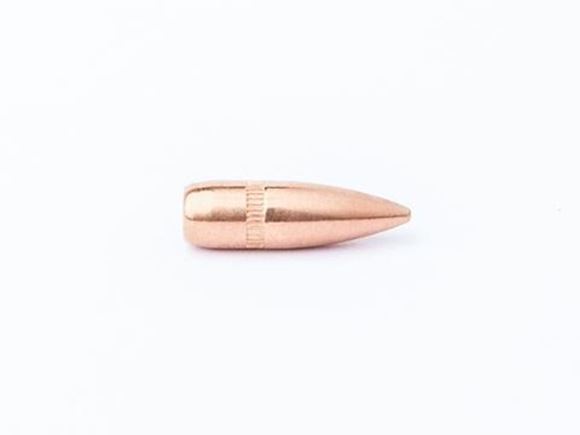 Picture of Cam Pro Bullets -  .223 (.224), 55gr, FMJ BT, 500 pcs