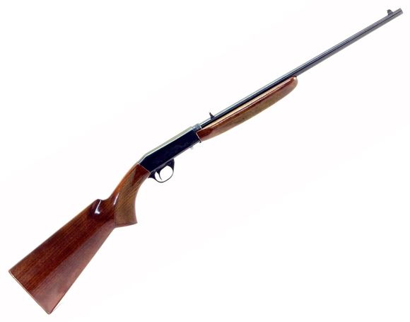 Picture of Norinco JW-20 Semi-Auto Takedown Rifle - 22LR, 19", Wood Stock, Checkered Grip, Engraved Receiver, Blued, 11rds Tube
