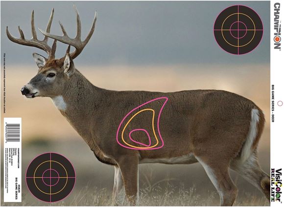 Picture of Champion Targets - VisiColor Real Life, x12 Targets