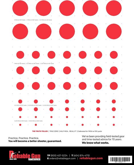 Picture of Reliable Gun Targets, THE TRUTH TELLER, Calibrated for 100 Yards, 20 Pack
