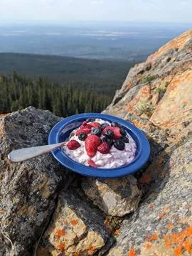 Picture of TrailFare Freeze Dried Meals - Icelandic Skyr And Granola